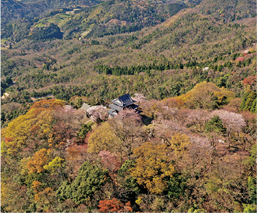 出展団体名
