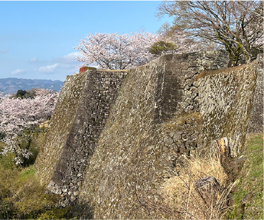 岡城跡～断崖にたつ壮観な石垣群～