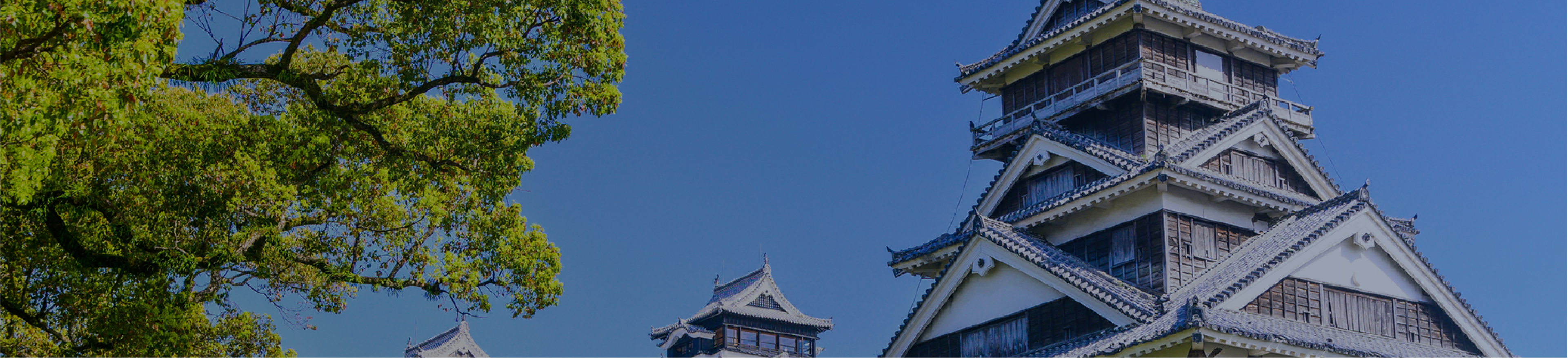 厳選プログラム