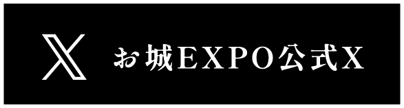 公式X